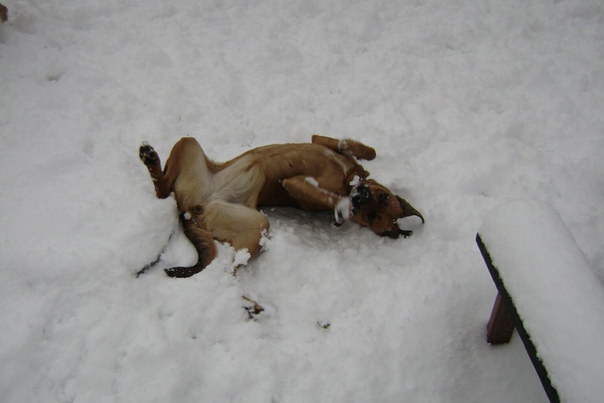 942F784A-9AD2-4D6D-9402-5C11B45AA86B