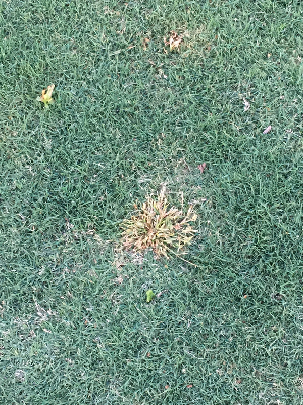 261D875C-78D1-4F70-89A6-5291E07F78BC