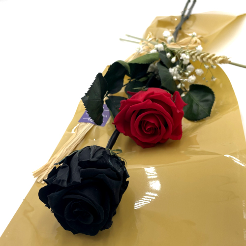 Dos Rosas Preservadas, Una Negra Y Una Roja