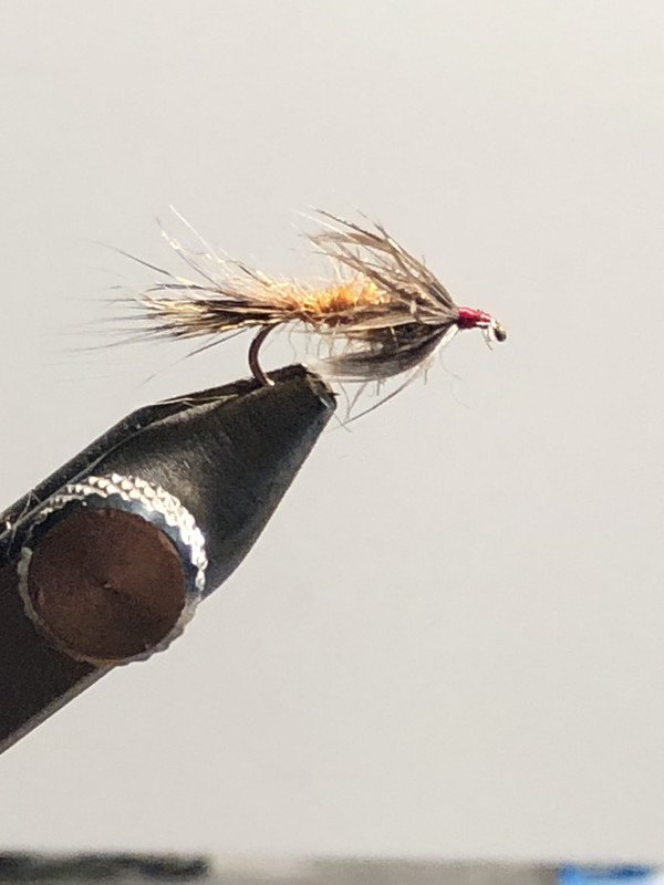 Red Fox Squirrel Nymph - 01