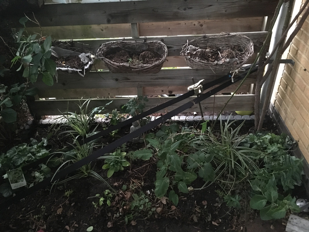 5CA0F6D3-B8F4-45B8-9B2E-18EDFA624B7A