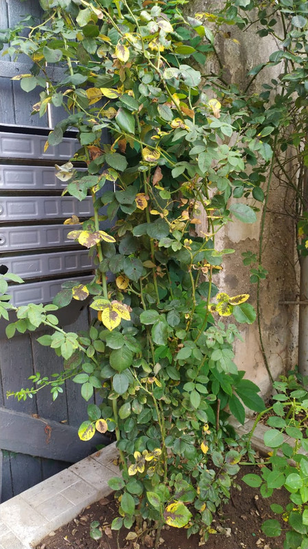 7B6DA1F2-1B84-487D-95B8-B07CE9E78890