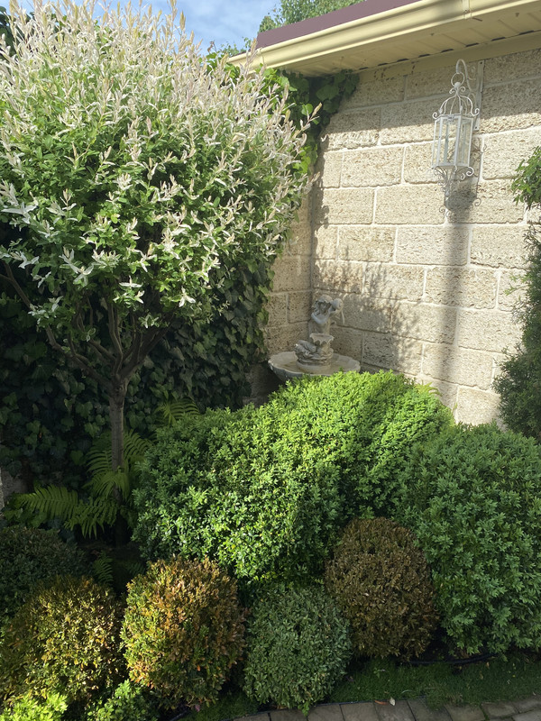 0F7DE19A-3C51-4226-924C-3726E5891216