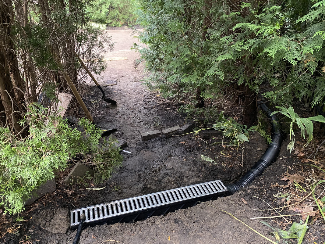 3C495F9B-1D5C-4997-8F4E-01866FF25C74