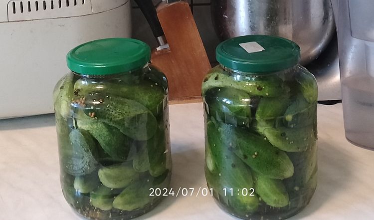 https://i.postimg.cc/0NHLFm1B/uborka-telre-20240701.jpg