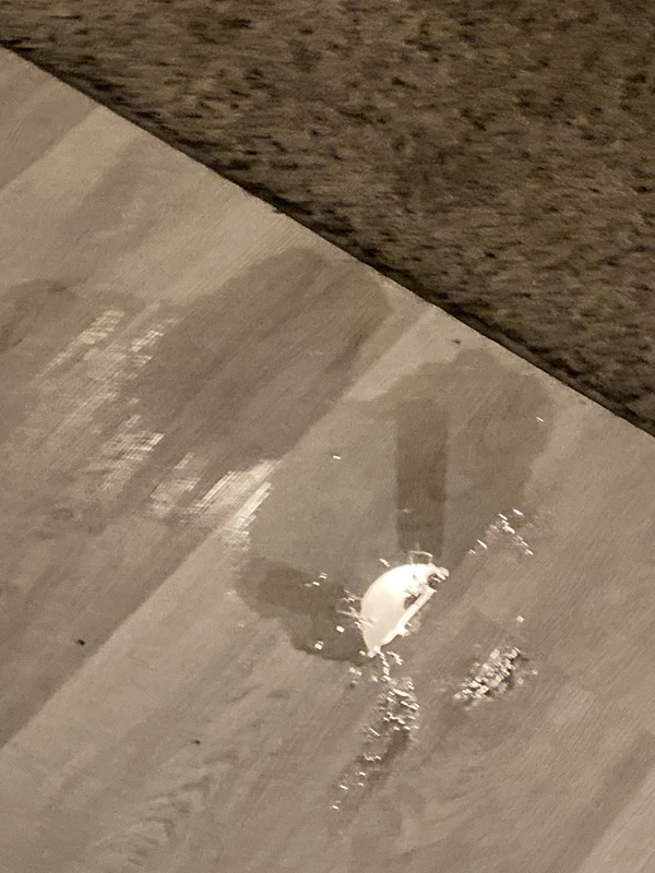 ED999B61-95E5-4BA8-9777-264F5D154713