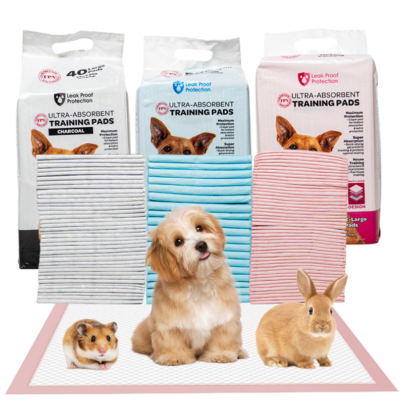 Pet Training Pads — Multi-Pack