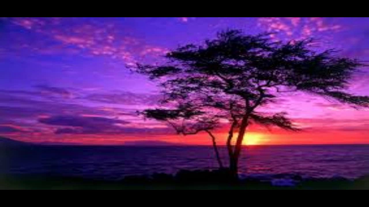 purple-skies.jpg