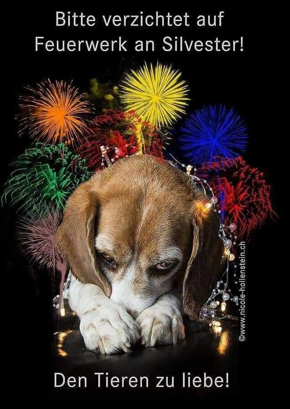 1a62a7ae61ee4e330210af3786030438