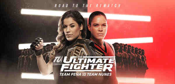 The Ultimate Fighter 