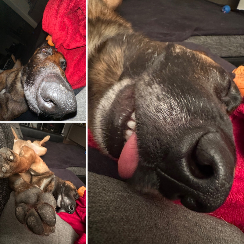 1FA39553-8803-4B34-8675-38FB5C405FED