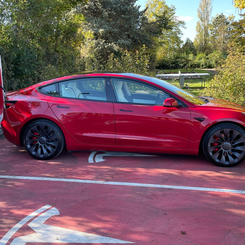 IMG_20211024_123824_193