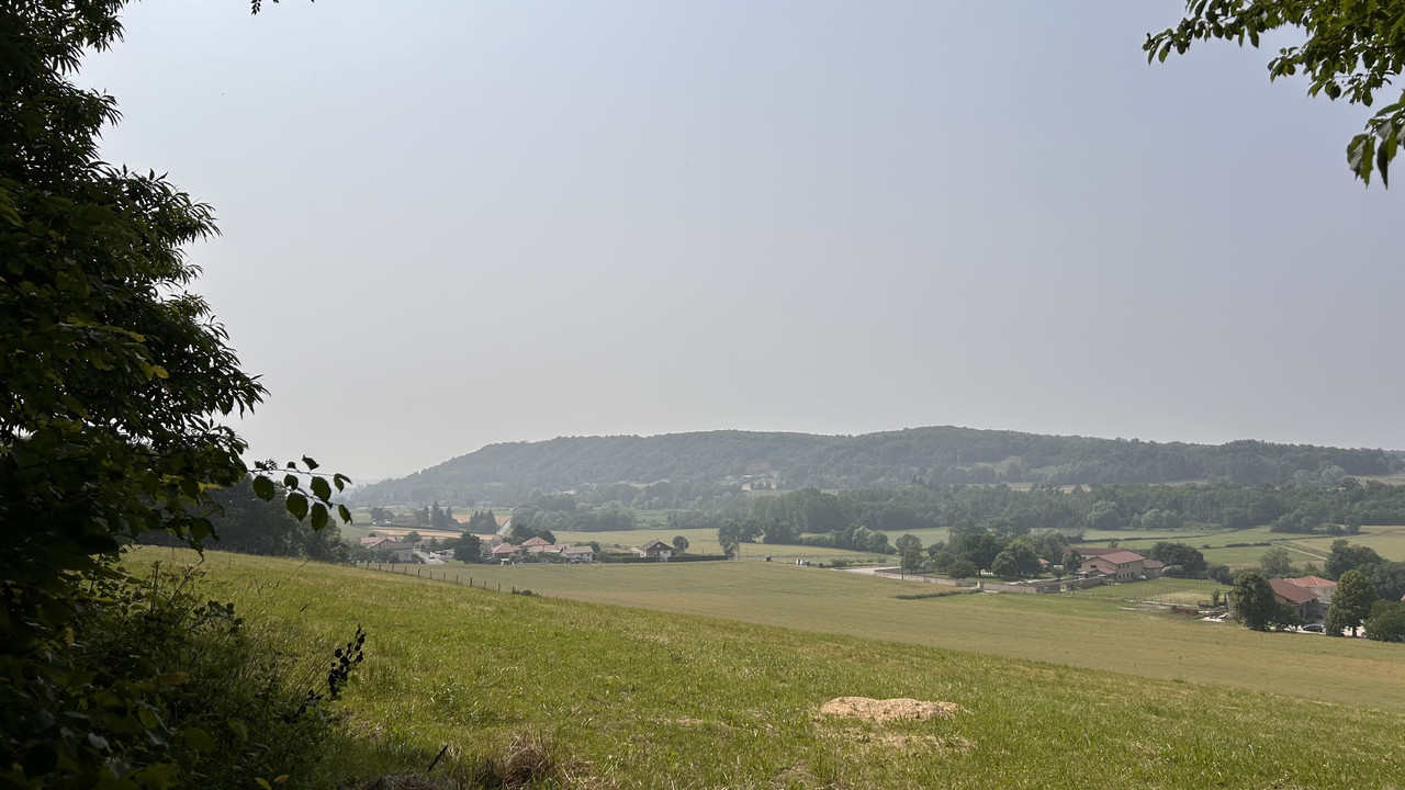 IMG-1379.jpg