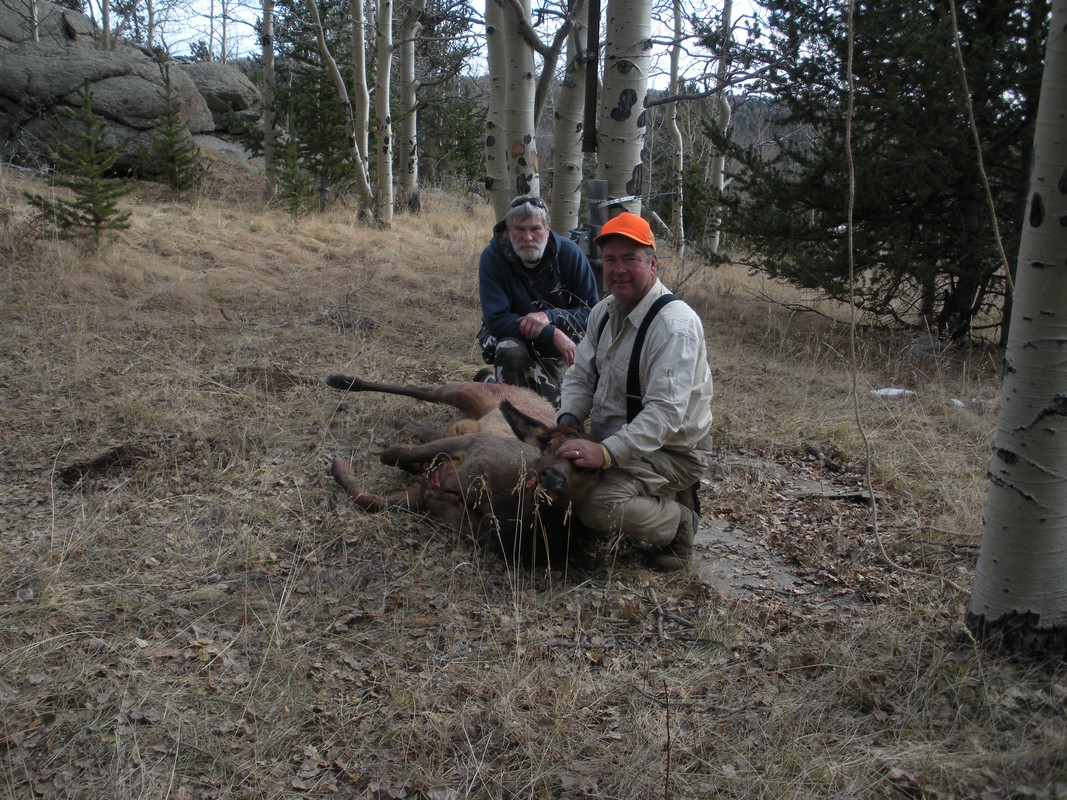 Elk 2008 01