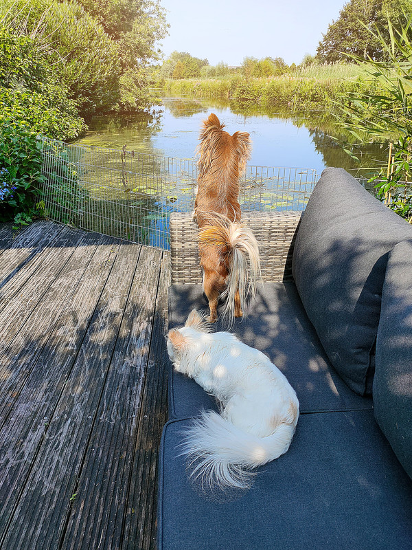 Lumii_20210720_171200992