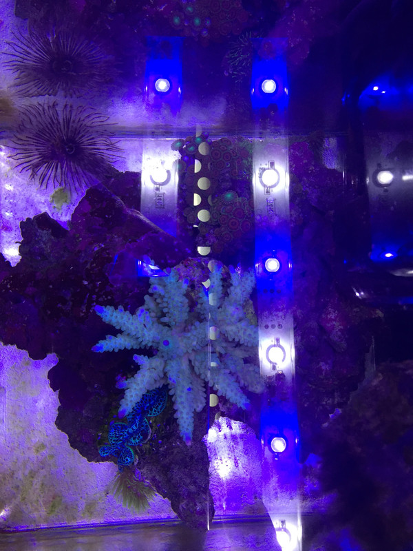 2EC52507-3B04-4BD5-BC23-7C9BF91355B7