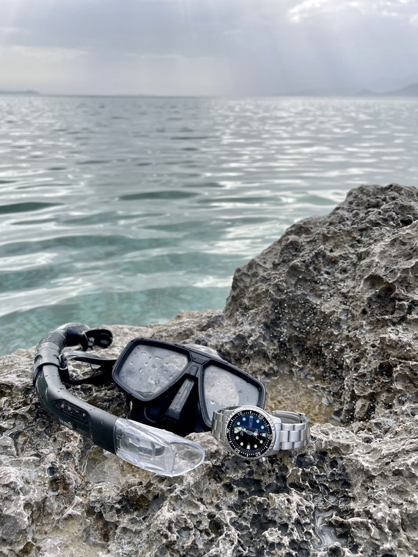 82EE6B0D-AB4D-4F74-9437-9BF1199853FC