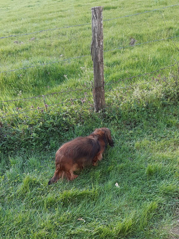 [Image: 20210412-183635.jpg]