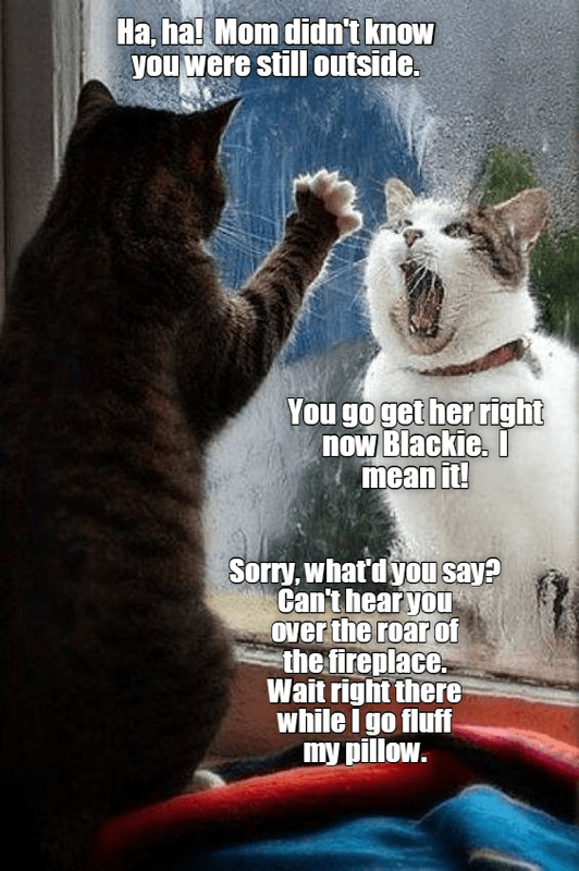 ha-ha