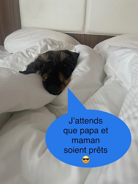 [Image: IMG-5034.jpg]