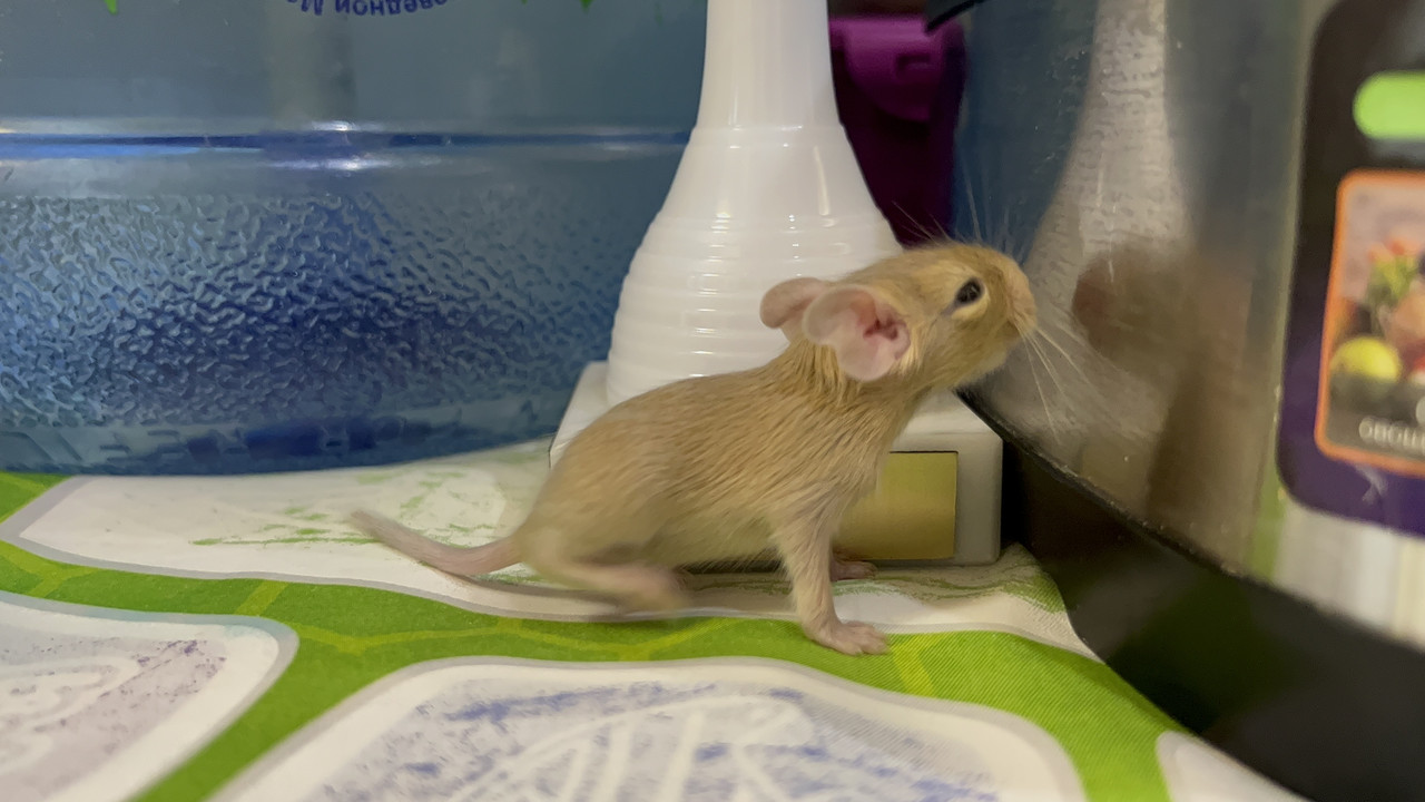 EDD0D677-E6F1-450E-A7DB-A29A74224FCB