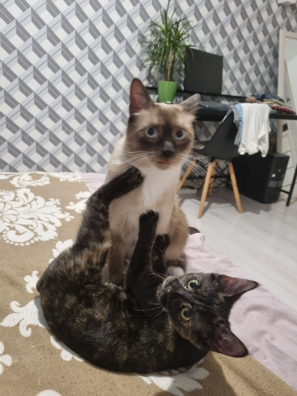 3FABEFD7-9D54-4031-9A58-751ABFF87BBA