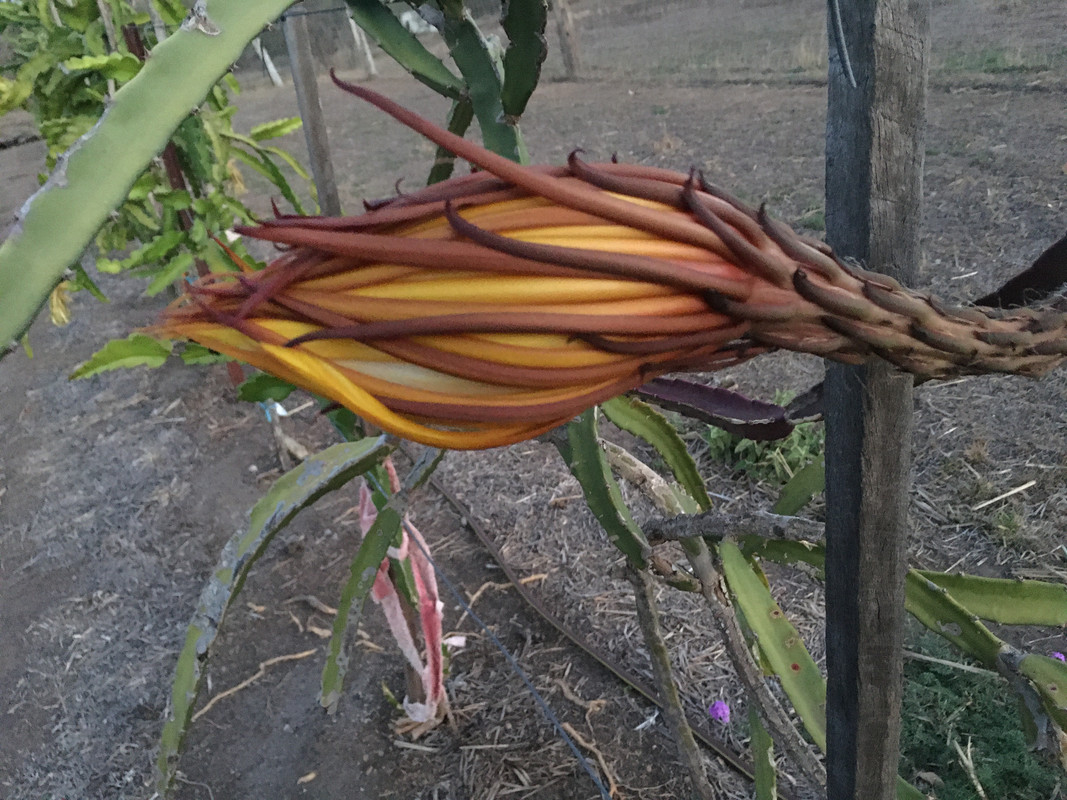 90E73AEA-E21A-451A-82DA-07C8B45E9CBF