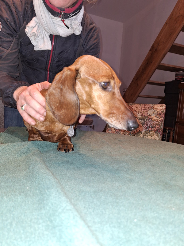 [Image: 20231129-164451.jpg]