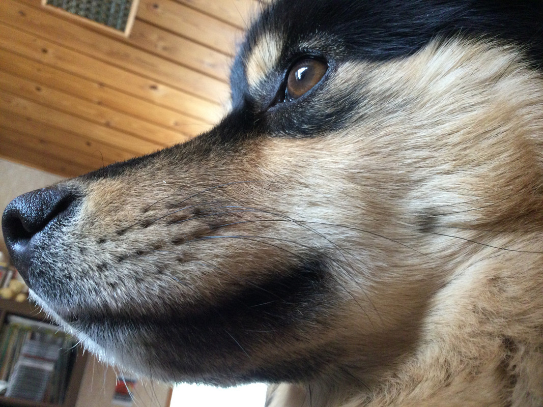 690F5BAF-C5D5-42E0-9551-796E04EA2D12