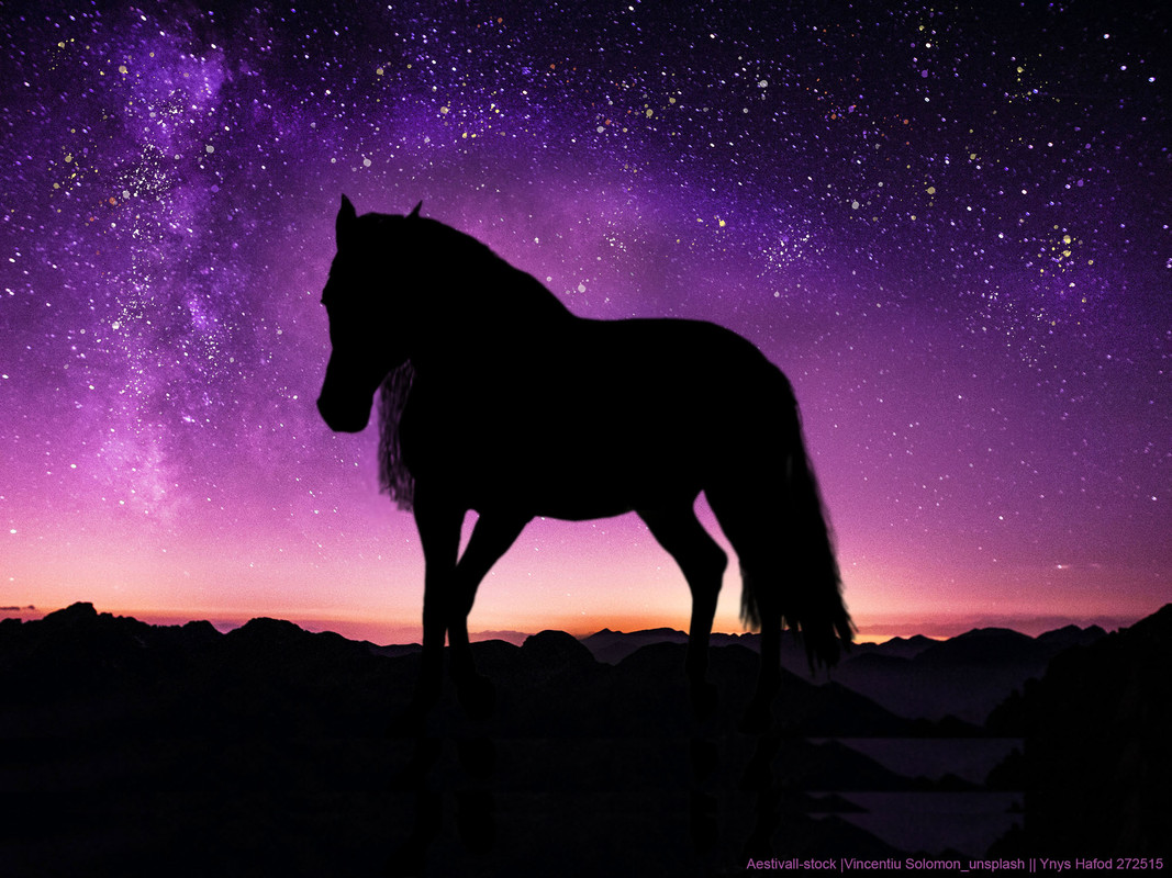 Ynys-silhouette-Purple-Night-Sky.jpg