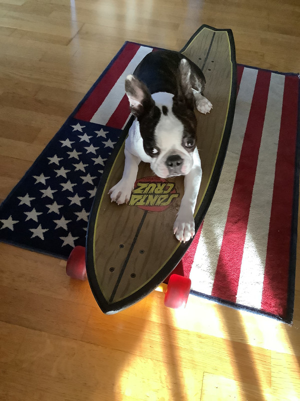 40CC7B82-5335-4E33-A961-E9AA4CFB4BB8