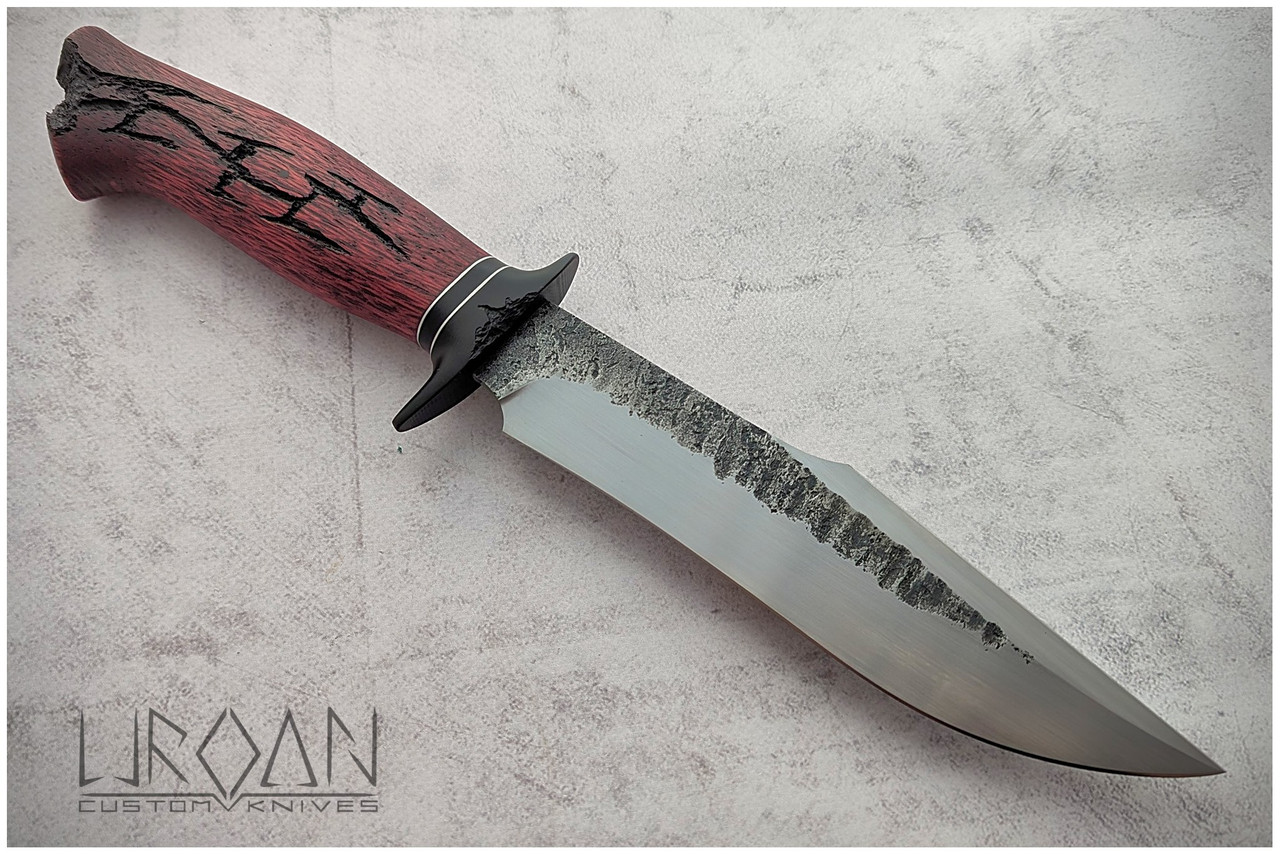 PXL 20260226 114753268