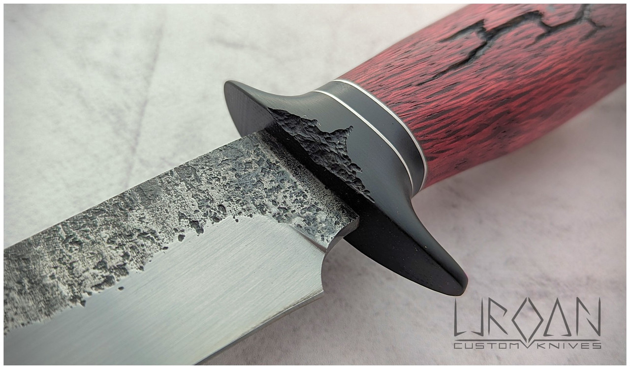 PXL 20260226 114700085