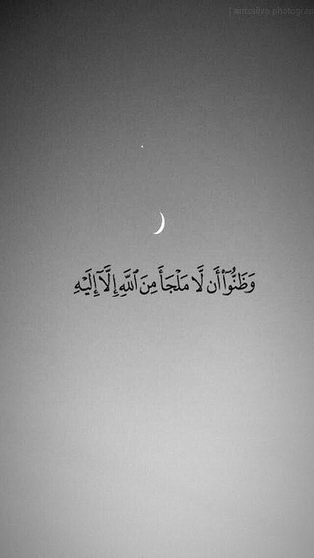 1849D166-A6E1-4050-9710-EC3FC18CC02F