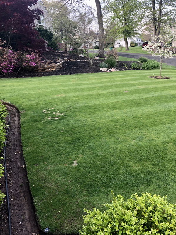 34EAB663-BB6F-4BD1-BA00-EE3ECF8D0EC6