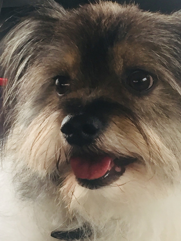 4FB699EF-4C33-4442-98B9-B8753A4BC02B