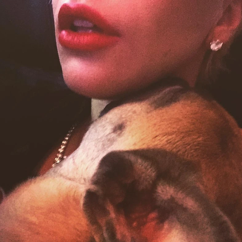 11-9-15-Instagram-001.webp