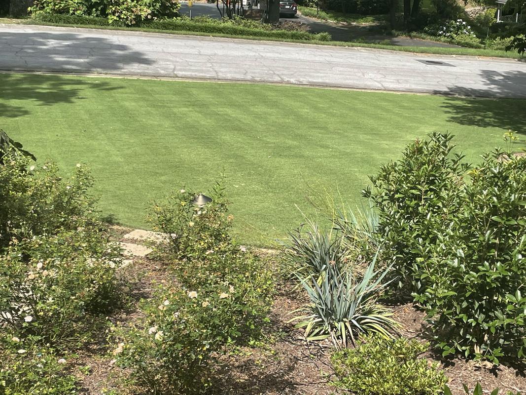 96F52599-1754-4B3D-B8C8-6B52FD9AB033