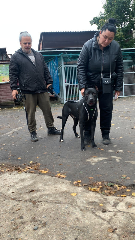 0C3534EC-E72F-48AA-83F7-EA5AB39F237E