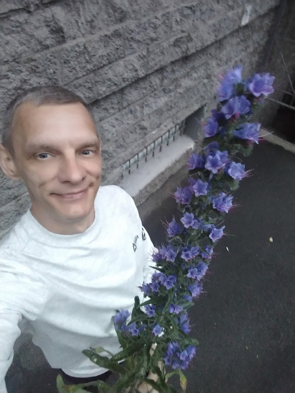 IMG-20230622-220523.jpg