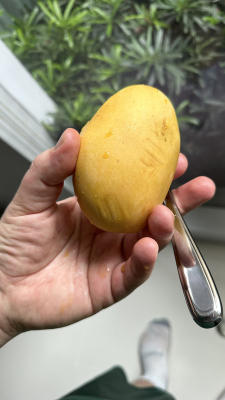 3676B39C-F545-49A7-8061-01F8355AB90E