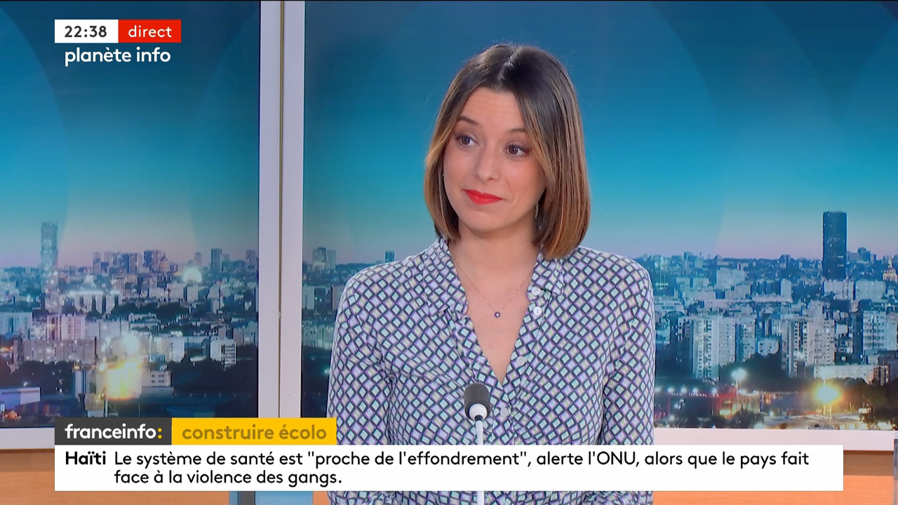 Planète info (Franceinfo)_2024_03_07_20_53_89.ts_snapshot_00.45.48.604