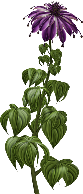 Into The Jungle (100)