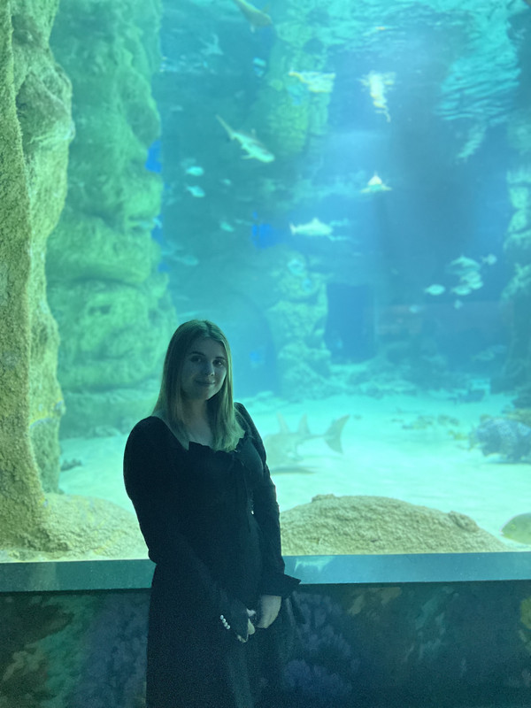 76726DC8-37BA-4026-8F48-770CD62C23E6