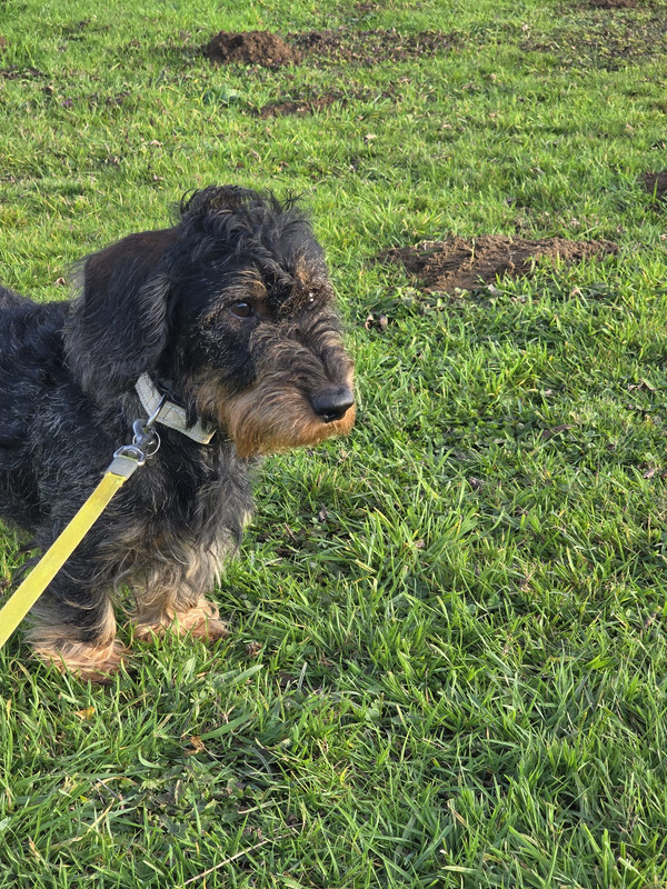 [Image: IMG-20251111-WA0020.jpg]