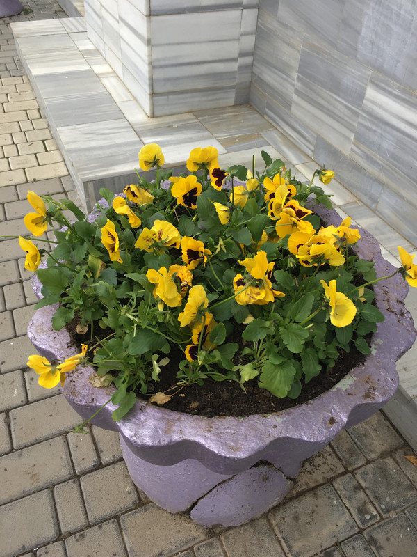 FCA48015-DE30-4C5C-9399-3AC7A1EA7154