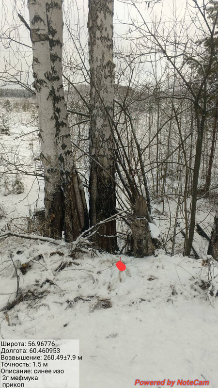 IMG 20251124 151518 577