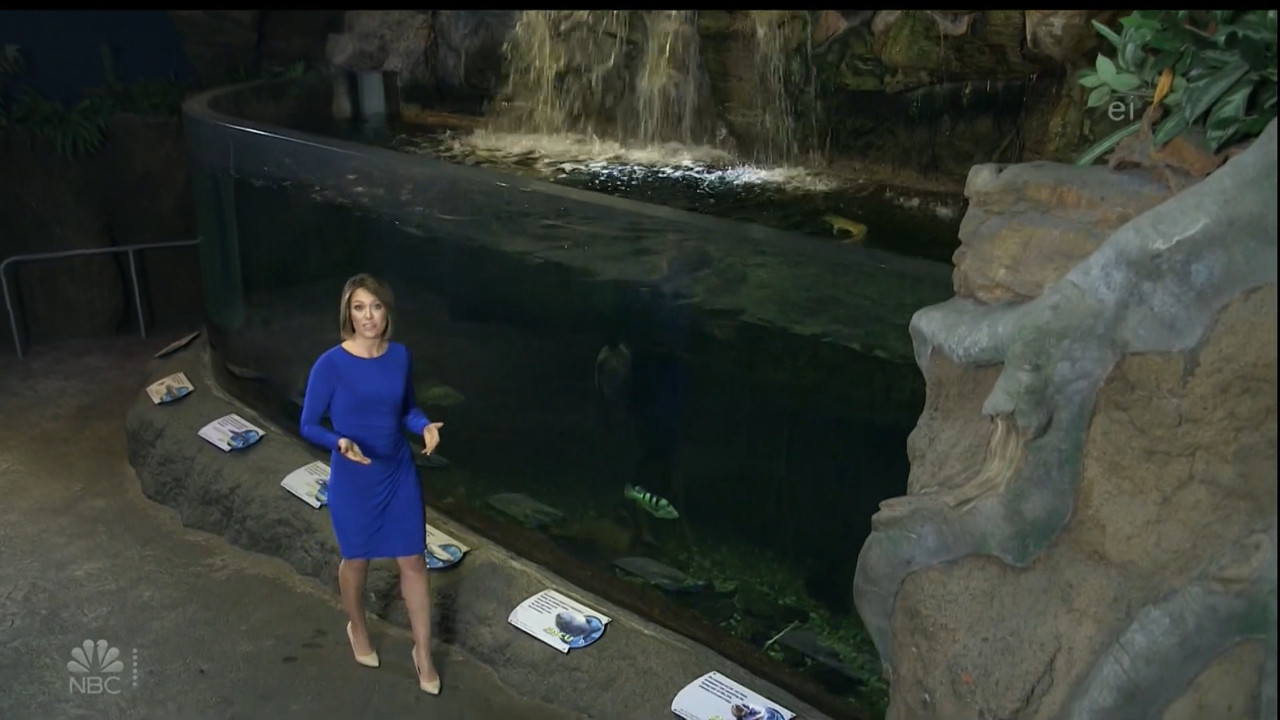 11.07 - 15.00.00 - Earth Odyssey With Dylan Dreyer. The world's smart....ts_snapshot_00.14.40.526