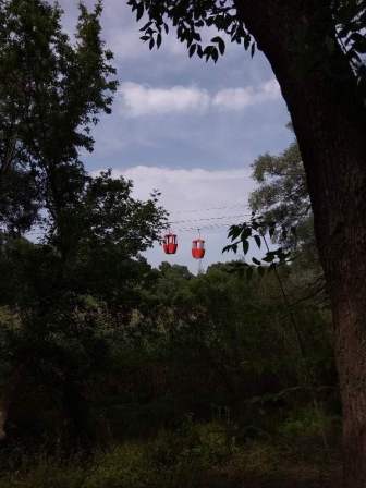 viber-2020-06-17-16-40-16