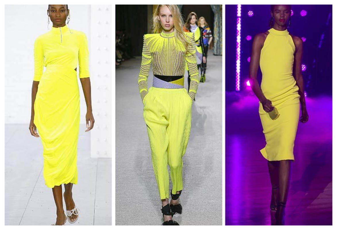 color trends
